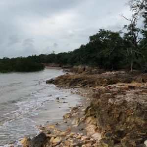 Meet your Posher, Lilly